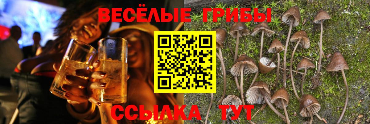 Псилоцибиновые грибы GOLDEN TEACHER  Вход с VPN  Северобайкальск  Галлюциногенные грибы MAGIC MUSHROOMS 